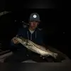 Zak Johnson - @zakjohnson.5 - TikTok