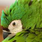 Zachary Klein - @zak_klein_ - Instagram