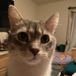 Zak Kuczynski - @stubbysig - Instagram