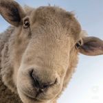 Zac Lambert - @zacmtbs - Instagram