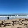 zaklambert433 - @zaklambert433 - TikTok