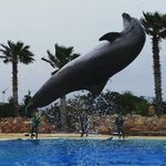 Zak Lloyd - @zak_12k - Instagram