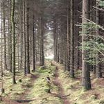 Zak.L - @zak.lloyd - Instagram