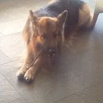 @zak_malone44 - Instagram