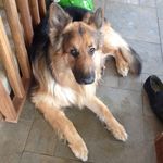 Zak_malone - @zak_malone_famliy - Instagram