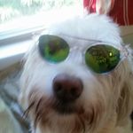 Zak Marks - @zakmarks7 - Instagram