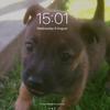 Zak.McCarthy - @zak.mccarthy442 - TikTok