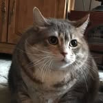 hi - @zak_moonshine - Instagram
