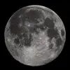 Zakmoon🌙 - @moont8012 - TikTok