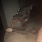Zak Moore - @mzak887 - Instagram