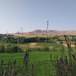 زاخه ی ژور - @zakhe_zhoor_page - Instagram