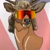 Zack Perry - @zackperry6 - TikTok