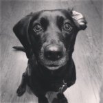 Zak Pierce - @zakpierce18 - Instagram