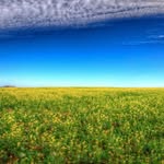 Zak Pollard - @tonidearthcopas - Instagram