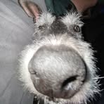 Zak Porter - Facebook