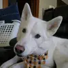 RichZakrzewski - @richzak - TikTok