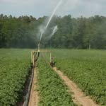 ZAKRICH FARMS LTD - @zakrichfarms - Instagram