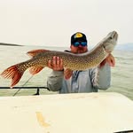 Zak Shaffer - @zak_shaff - Instagram