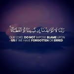 Źakaria Rachid Houssien - @zaksilva63 - Instagram