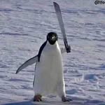 Zak Singleton - @king_autismo - Instagram