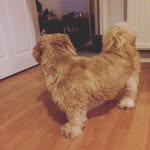 Zaksteele_270409 - @zaksteele_270409 - Instagram