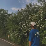 Zakir Hussain Wani - @zak_storm_321 - Instagram