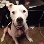 Zak Wallace - @sprockoo420 - Instagram