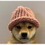 Zak Ward - @zak.spammms2020 - Instagram