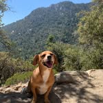 Zak Watson - @zakvwatson - Instagram