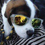 Zack weaver - @_rockythedogg393 - Instagram