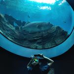 zac Wilcox - @zacwilcox8 - Instagram