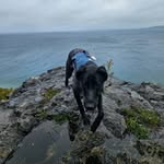Zak Wright - @z.wright_13 - Instagram