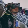 Zakwright - @zak2143 - TikTok