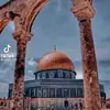 زكريا محمد - @zakariamohammed073 - TikTok