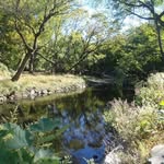 Zakee Smith - @creekawareness - Instagram