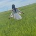 Zakeya Johnson - Facebook
