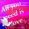 Zaki Lev - @zakilev6 - TikTok