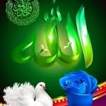 zakia arshad - @zakiaarshad4 - Instagram