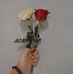 Zan Khan - Facebook