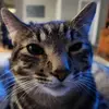 Sandra Marie - @sandra.conway3 - TikTok