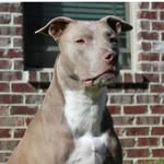 Zane Booker - @eik_eek_ik445 - Instagram