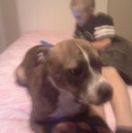 Zane Combs - Facebook