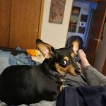 Zane Combs - @combs_zane - Instagram