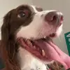 zanecooke2 - @zane.cooke8 - TikTok