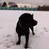 cooper - @cooperzaneski - TikTok