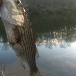 Zane Cunningham - @zane_the_chick_master_ - Instagram