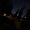 D♤ - @danedegraw_ - TikTok