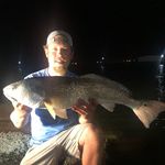 Zane Everett Mitchell - @thebigsonn - Instagram