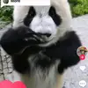 I'm sigma - @zanefoley - TikTok