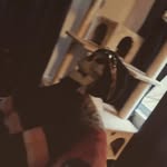 Zane Ford - @zan_12308 - Instagram